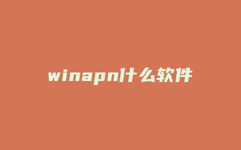 winapn什么软件