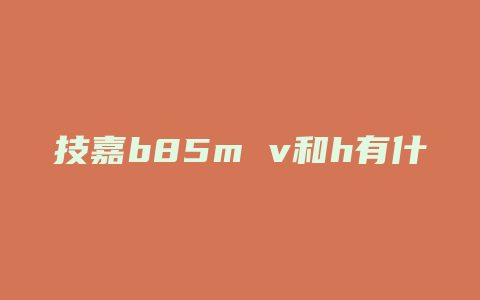 技嘉b85m v和h有什么区别