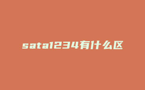 sata1234有什么区别