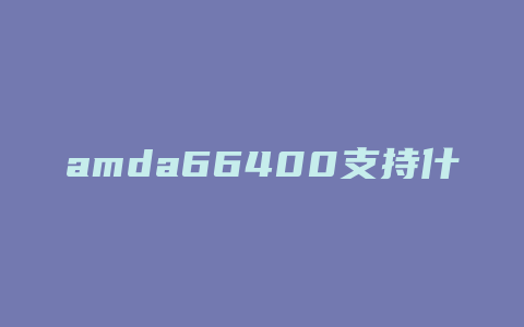 amda66400支持什么内存