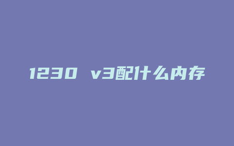 1230 v3配什么内存