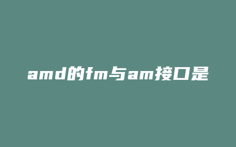 amd的fm与am接口是什么