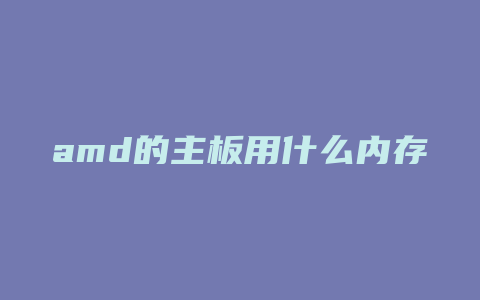 amd的主板用什么内存