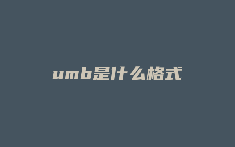 umb是什么格式