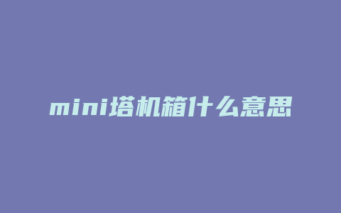 mini塔机箱什么意思