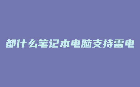 都什么笔记本电脑支持雷电3