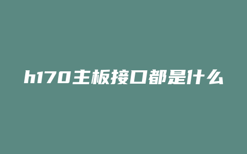 h170主板接口都是什么