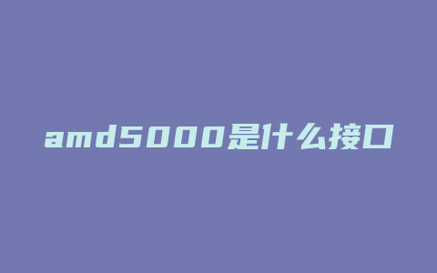 amd5000是什么接口