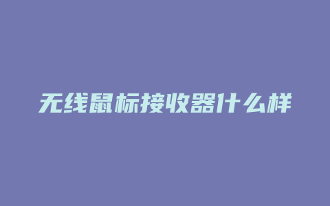 无线鼠标接收器什么样