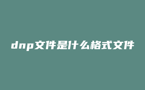 dnp文件是什么格式文件