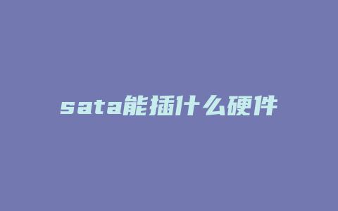 sata能插什么硬件