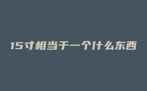 15寸相当于一个什么东西