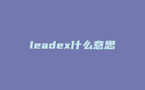 leadex什么意思